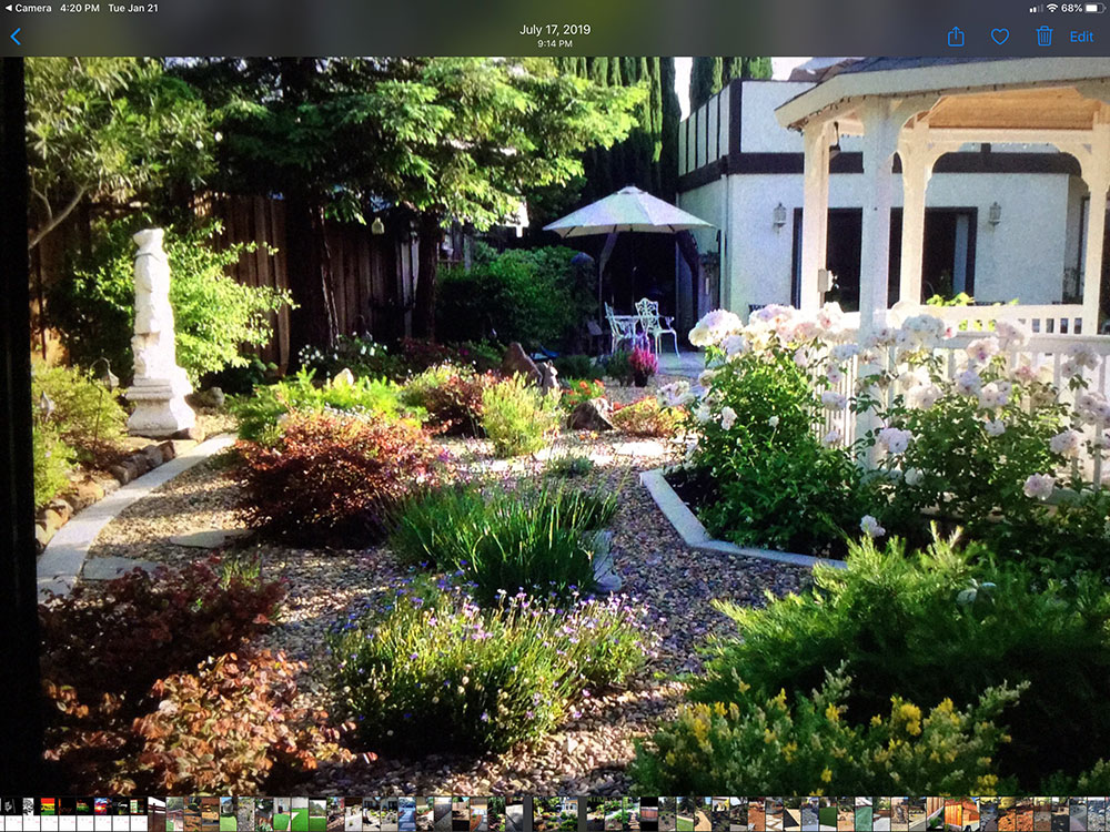 Landscaping Services Image 4